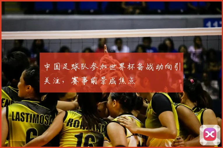 中国足球队参加世界杯备战动向引关注，赛事前景成焦点