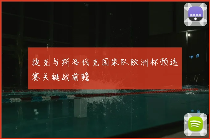捷克与斯洛伐克国家队欧洲杯预选赛关键战前瞻