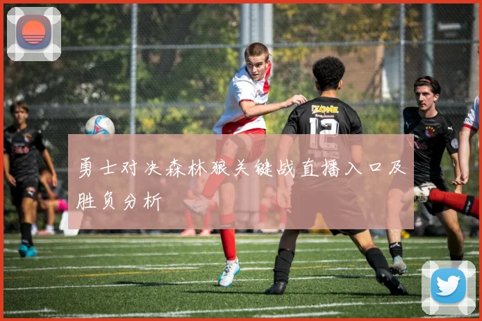 勇士对决森林狼关键战直播入口及胜负分析