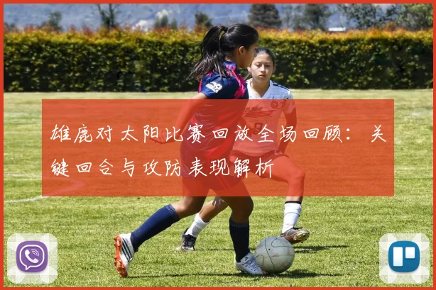 雄鹿对太阳比赛回放全场回顾：关键回合与攻防表现解析