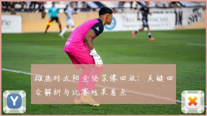 雄鹿对太阳全场录像回放：关键回合解析与比赛结果看点