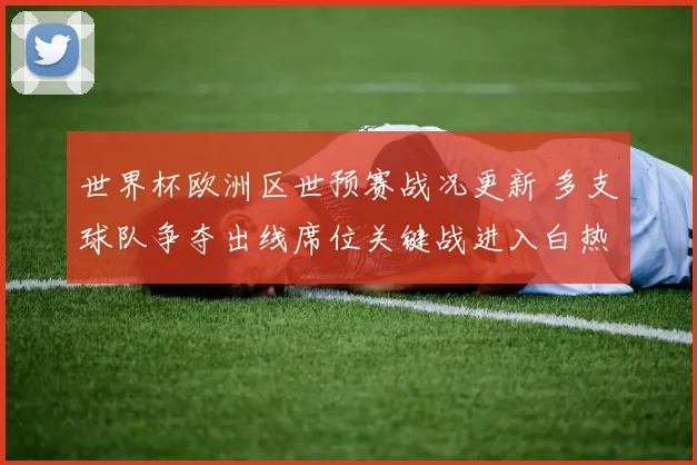 世界杯欧洲区世预赛战况更新 多支球队争夺出线席位关键战进入白热化